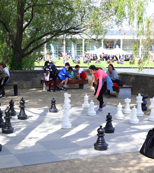 UCDchess