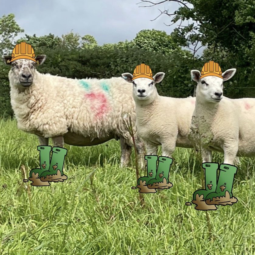 Farm Safe, Play Safe